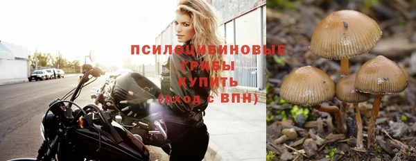 MDMA Premium VHQ Белоозёрский