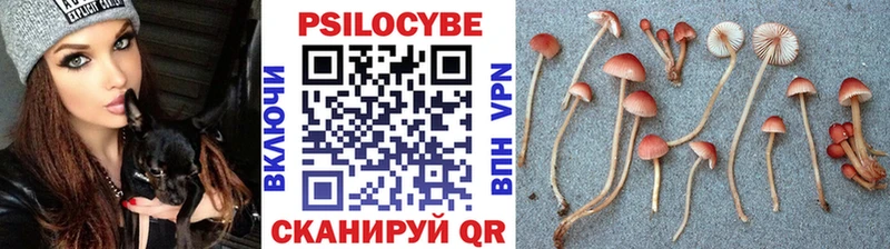 нарко площадка официальный сайт  продажа наркотиков  Нижняя Тура  Псилоцибиновые грибы Psilocybine cubensis 